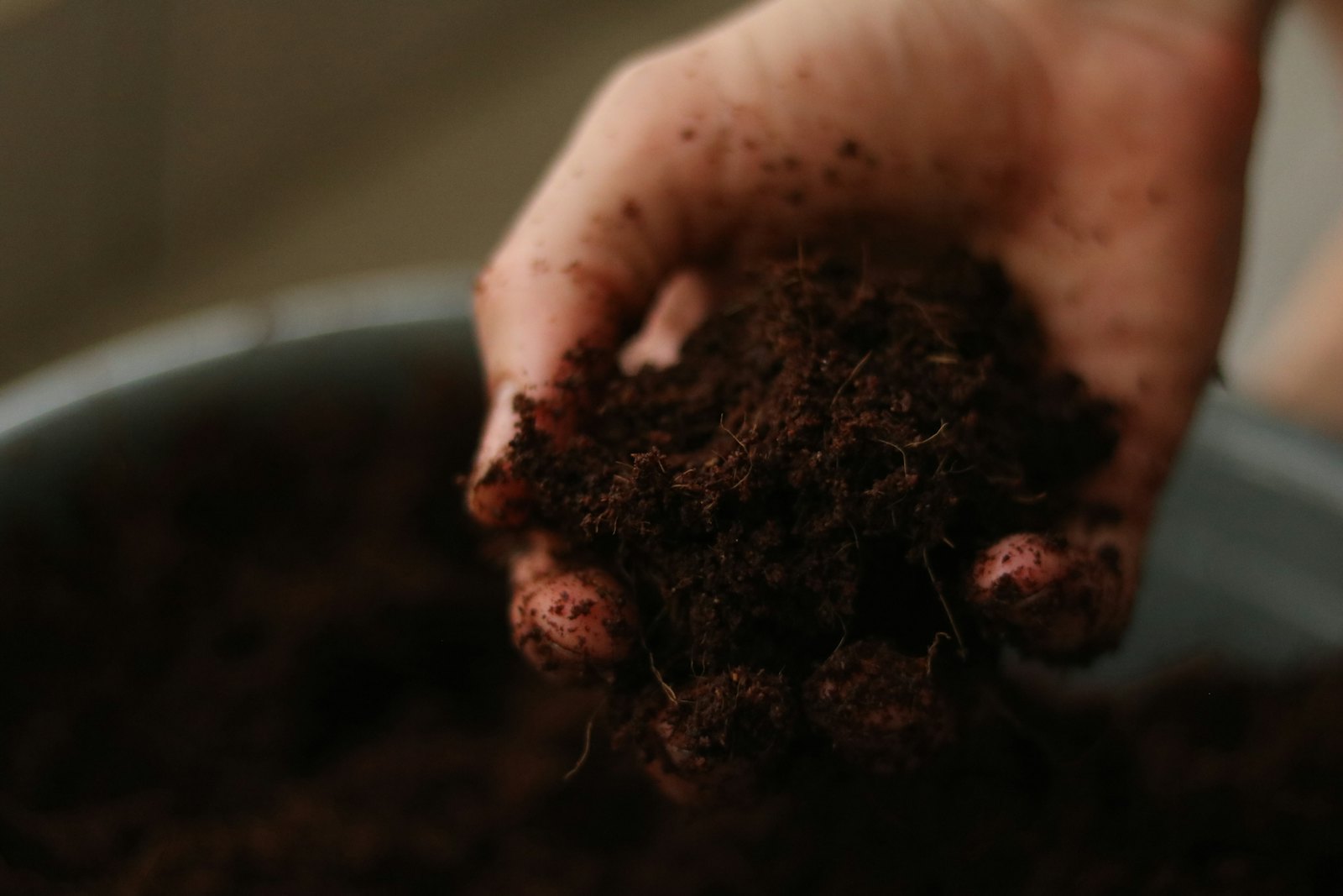 Soil in a farmer's hand